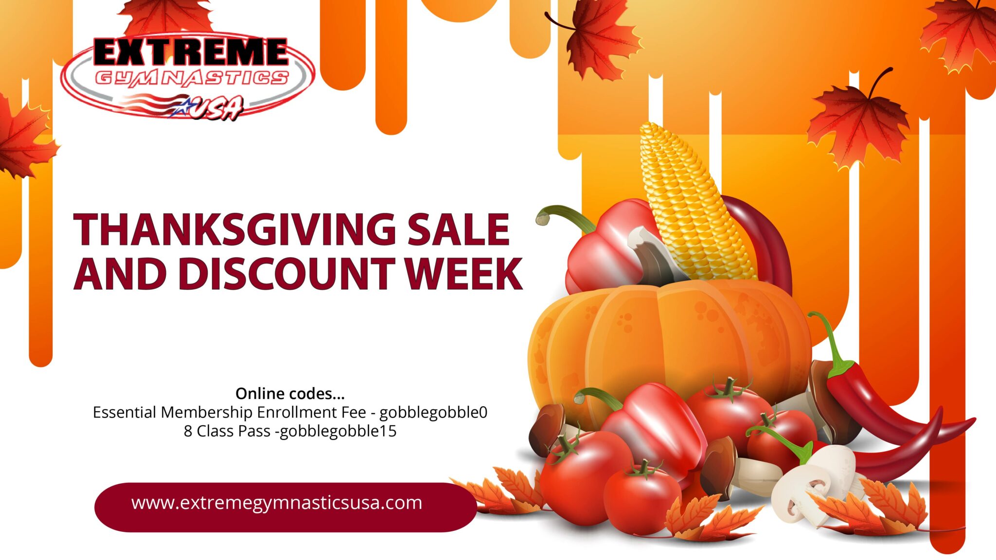 Read more about the article Thanksgiving Sale Promo Codes