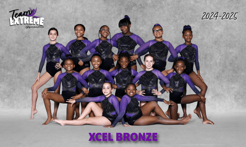 Xcel Bronze