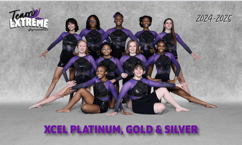 Xcel Platinum, Gold & Silver