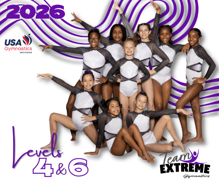 team gymnastics near me